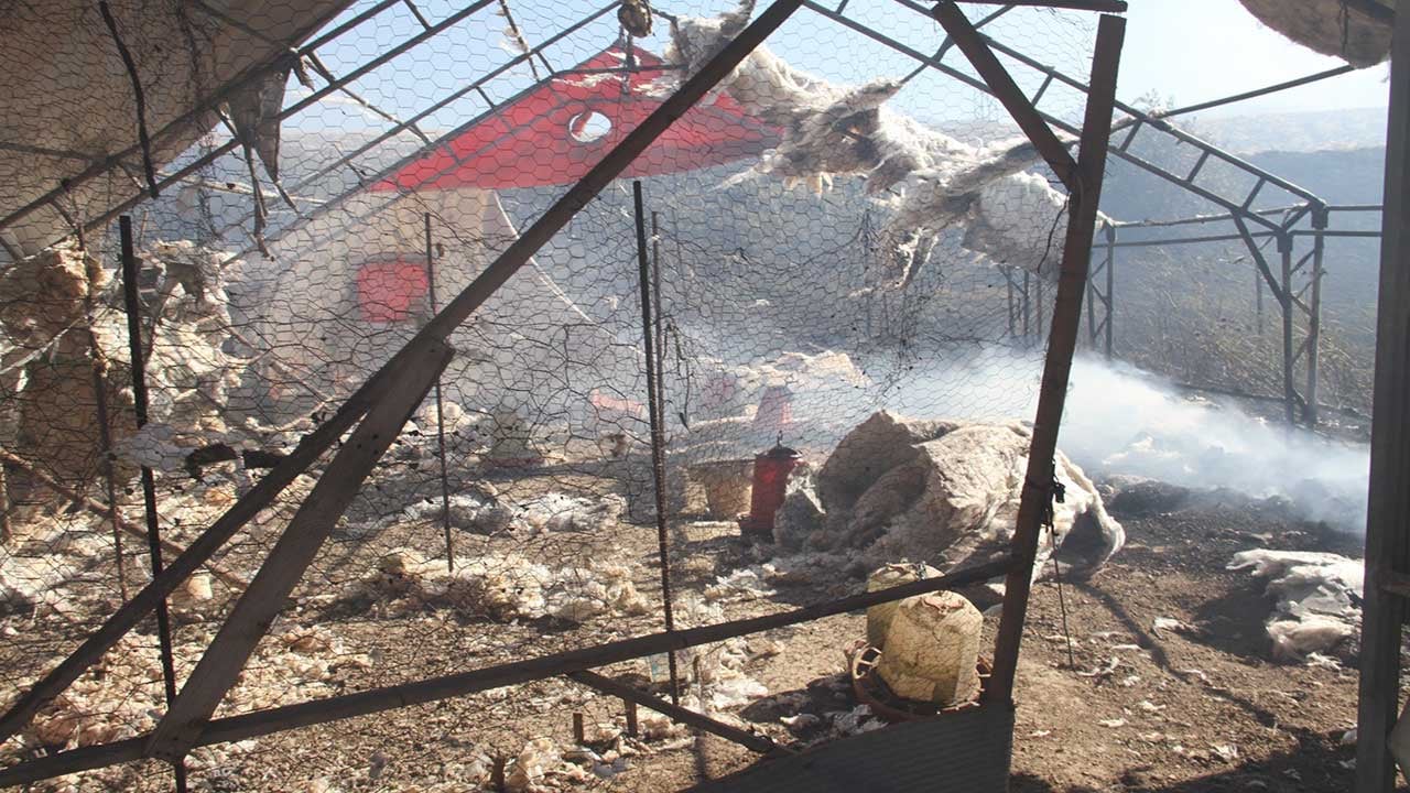 Foto - Sivas'ta yürekleri ağza getiren yangın! Alevler kısa sürede yayıldı, bağ evi ve kümesler kül oldu!