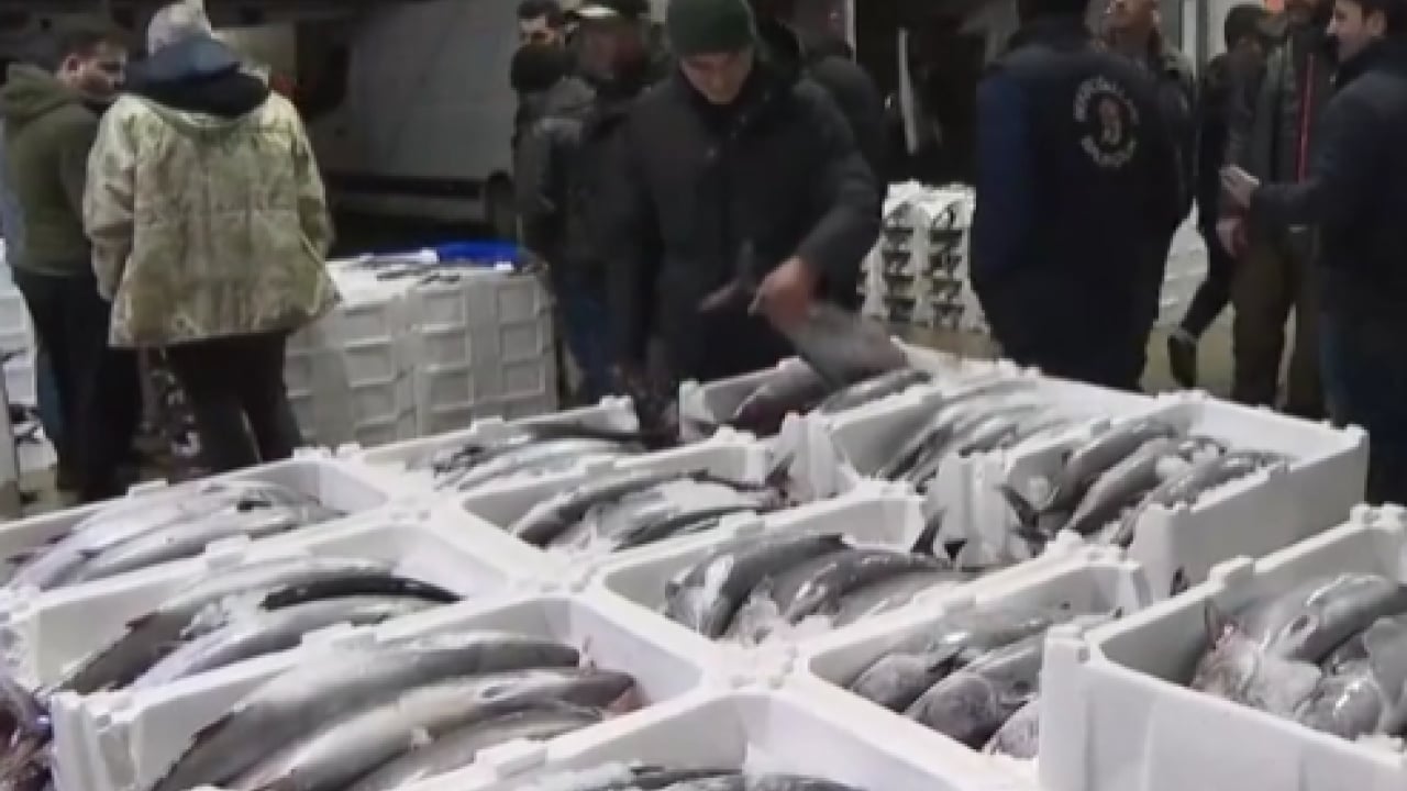 Foto - Siyah-beyaz fotoğraflardan tezgahlara: 40 yıl sonra İstanbul'da torik bereketi!