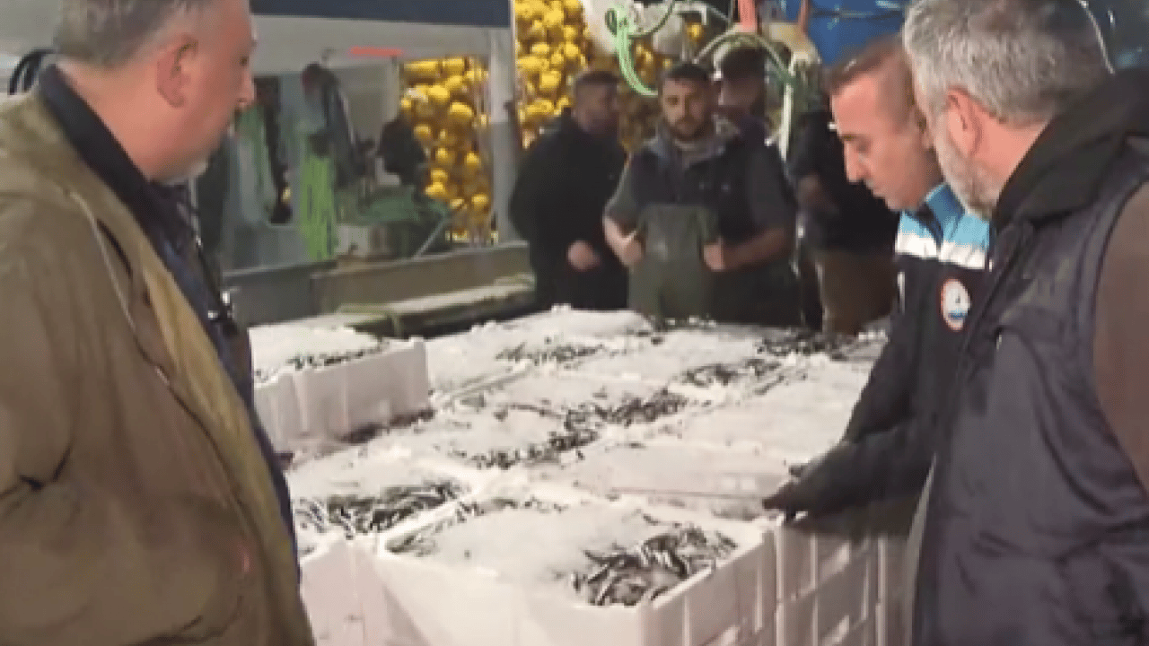 Foto - Siyah-beyaz fotoğraflardan tezgahlara: 40 yıl sonra İstanbul'da torik bereketi!