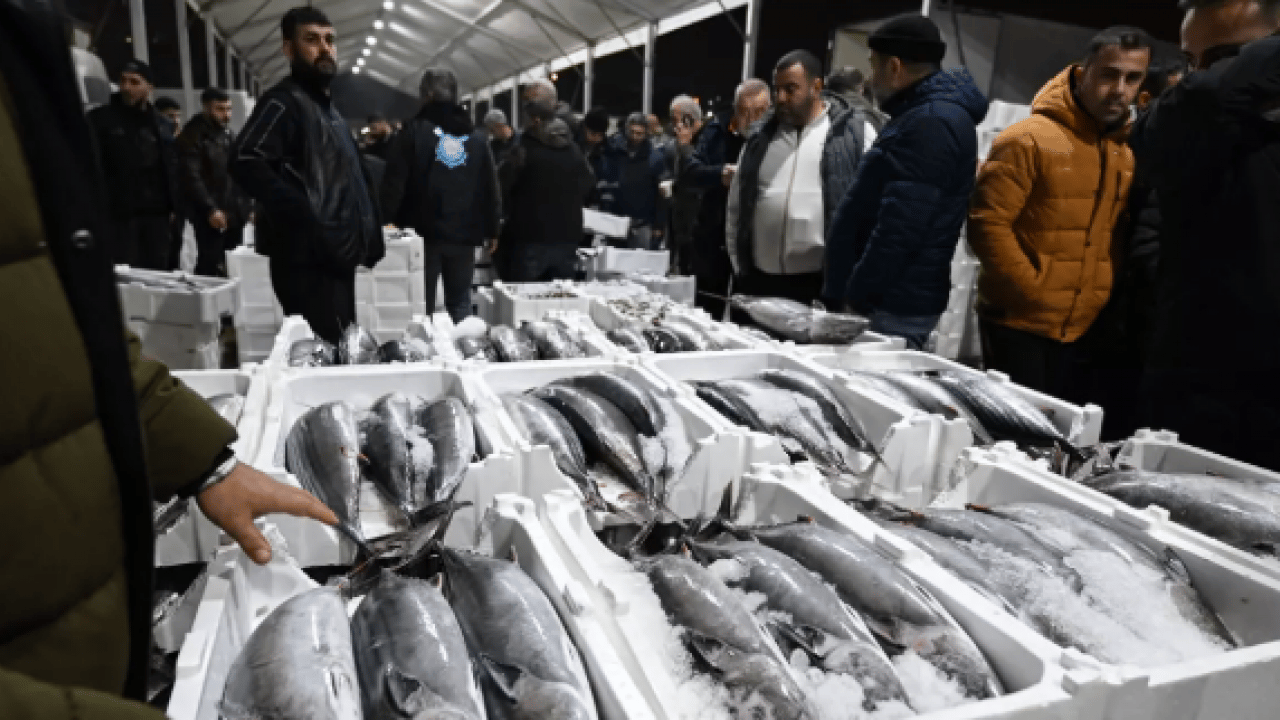 Foto - Siyah-beyaz fotoğraflardan tezgahlara: 40 yıl sonra İstanbul'da torik bereketi!