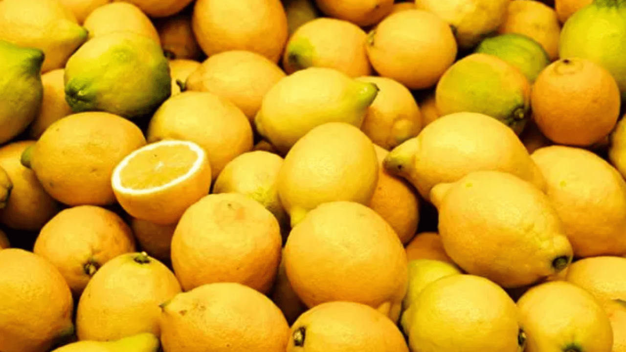 Foto - Sizin gibi esnaf olmaz olsun: Bir dilim limonun fiyatı isyan ettirdi!