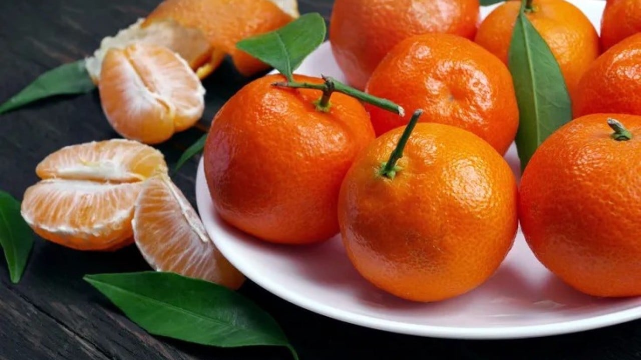 Foto - Sofraların gizli şampiyonu! Binden fazla gıda arasından sıyrılıp zirveye yerleşti