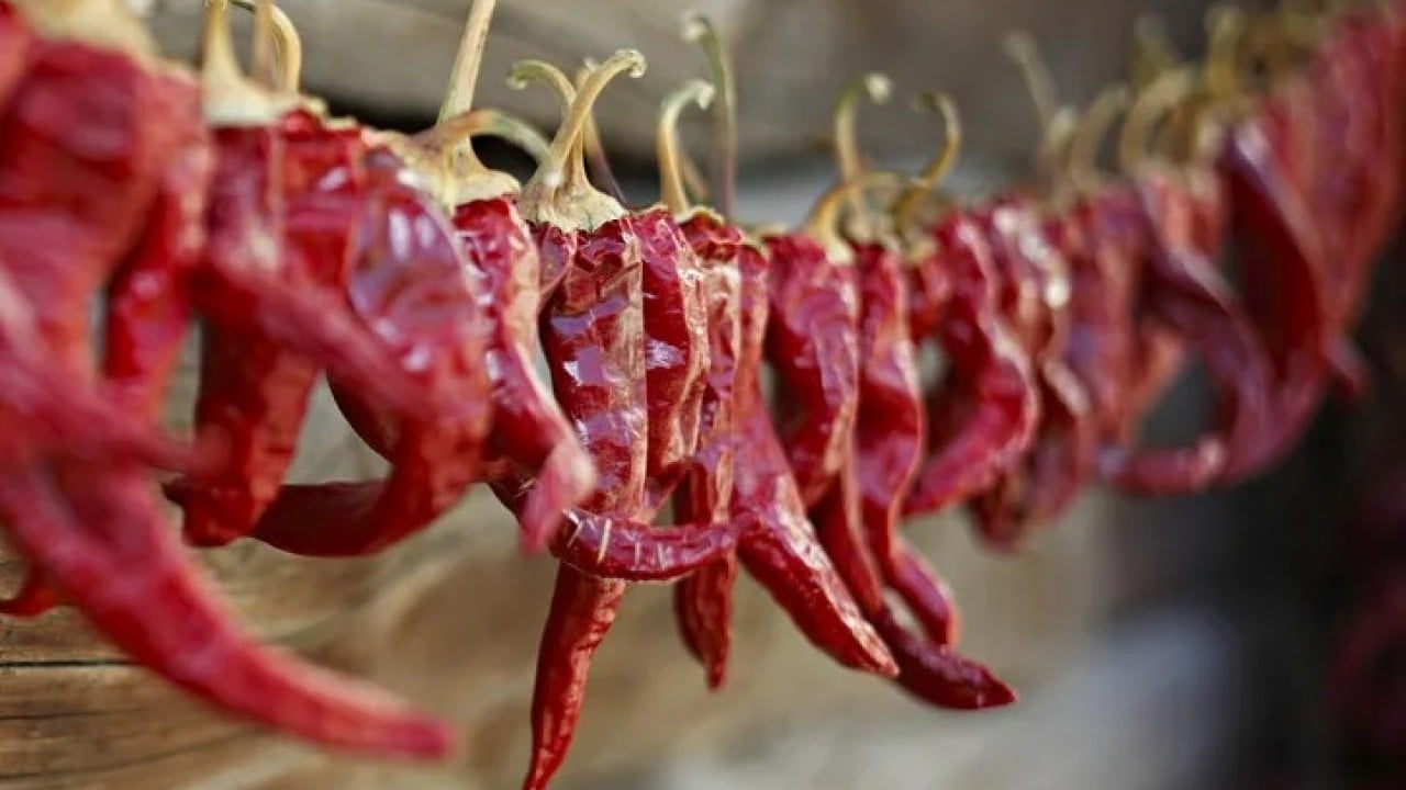 Foto - Sofraların gizli şampiyonu! Binden fazla gıda arasından sıyrılıp zirveye yerleşti