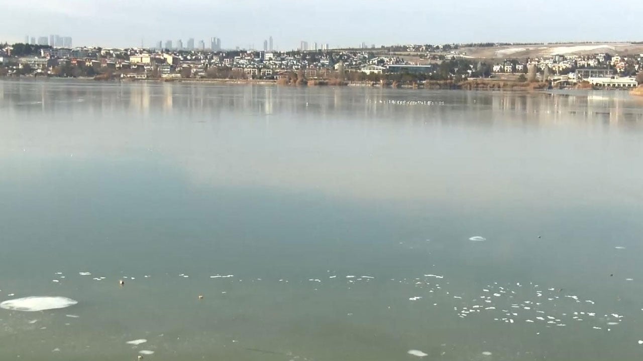 Foto - Soğuk Ankara’yı esir aldı! Kuşlar buzun üstünde kaldı