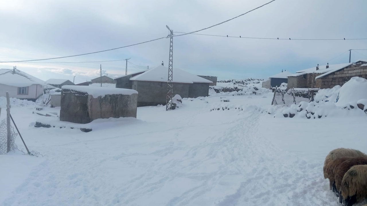 Foto - Soğuk besiciyi zorluyor! Süphan Dağı eteklerinde hayat dondu