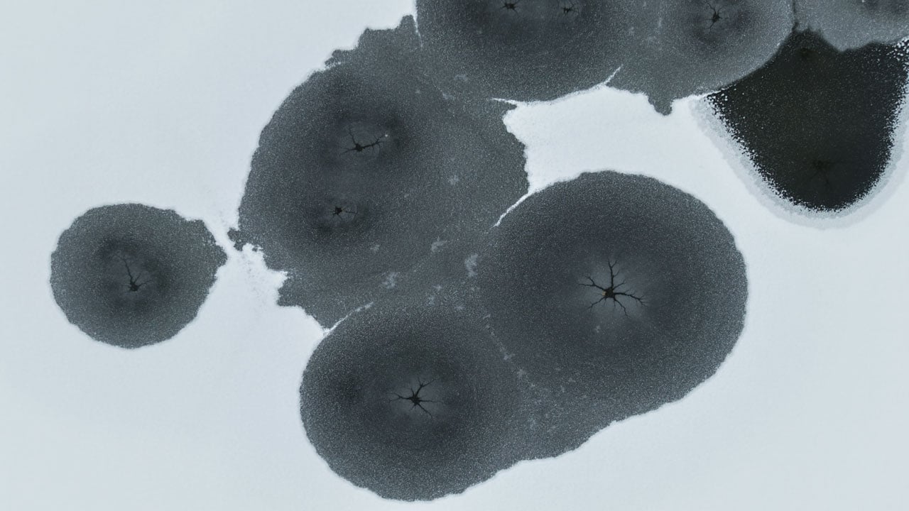 Foto - Soğuk hava etkisini arttırdı! Hafik Gölü'nde tablo gibi manzara