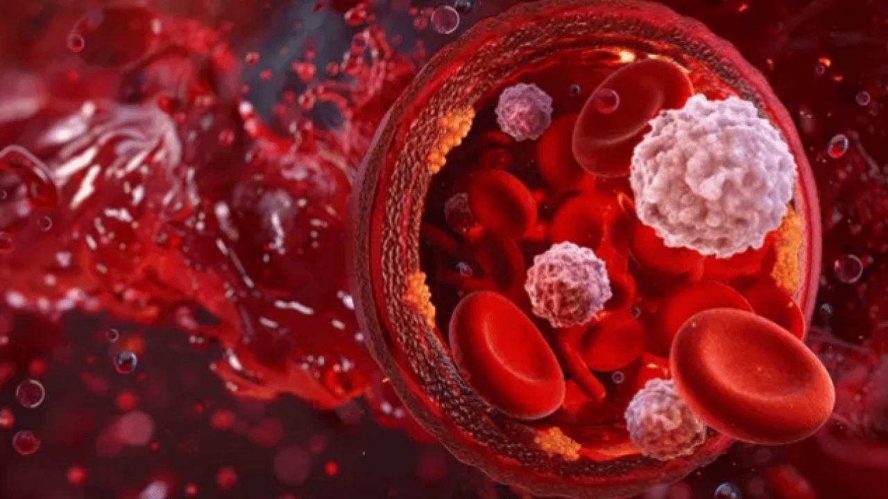 Foto - Bu kan grubuna sahip olanlar dikkat: Kış ayları size göre olmayabilir!