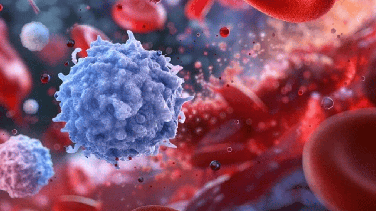 Foto - Bu kan grubuna sahip olanlar dikkat: Kış ayları size göre olmayabilir!