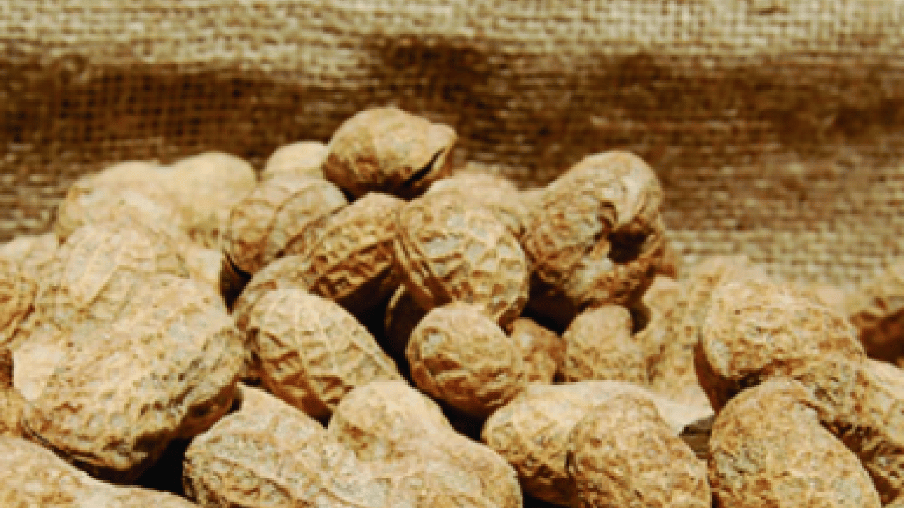 Foto - Soğuk havaların vazgeçilmezi ilgi görüyor olsa da, şifalı mı zararlı mı? Cevabını arıyor herkes...