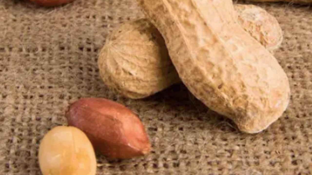 Foto - Soğuk havaların vazgeçilmezi ilgi görüyor olsa da, şifalı mı zararlı mı? Cevabını arıyor herkes...