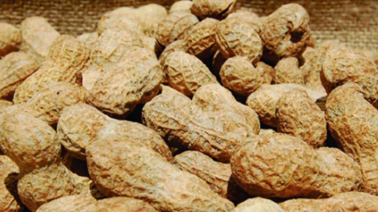 Foto - Soğuk havaların vazgeçilmezi ilgi görüyor olsa da, şifalı mı zararlı mı? Cevabını arıyor herkes...