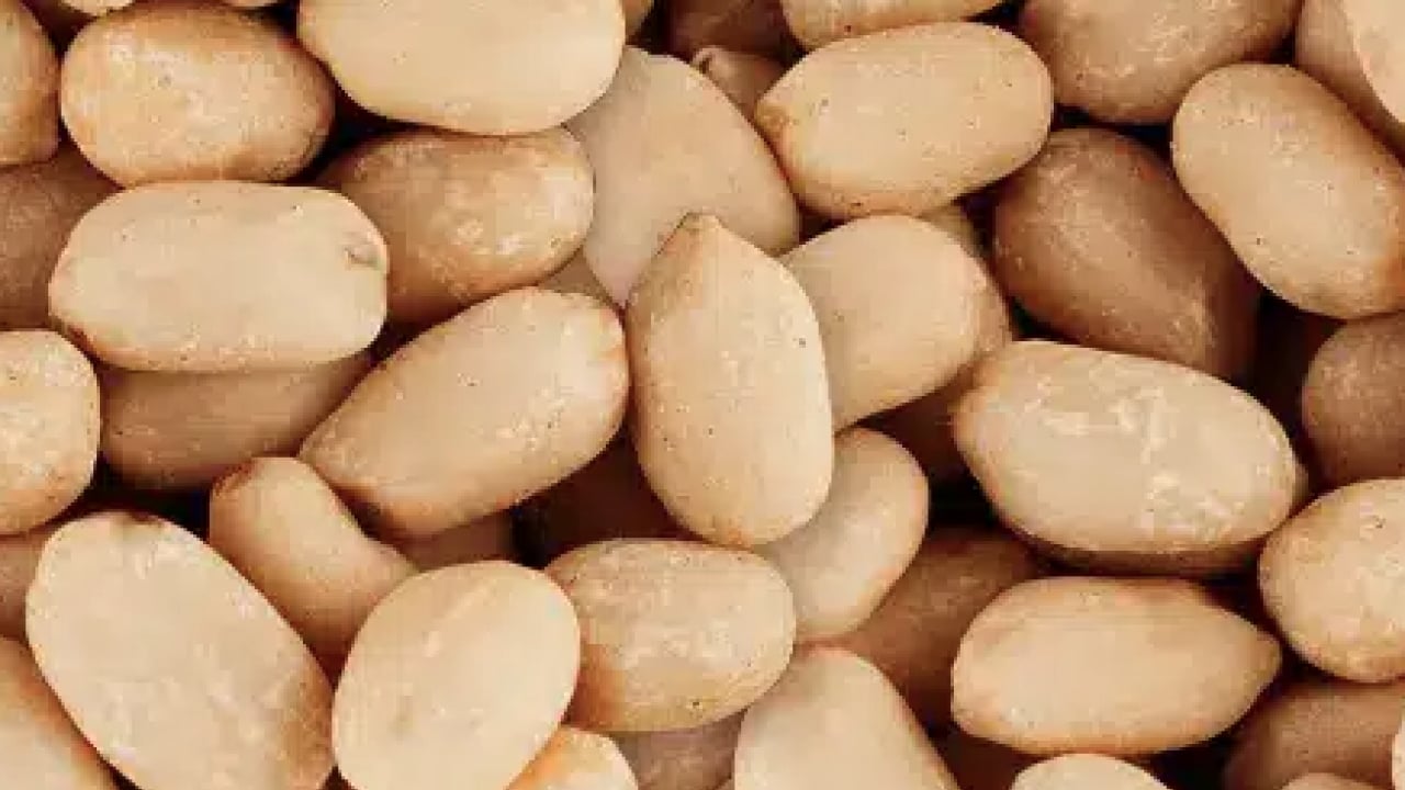 Soğuk havaların vazgeçilmezi ilgi görüyor olsa da, şifalı mı zararlı mı? Cevabını arıyor herkes...