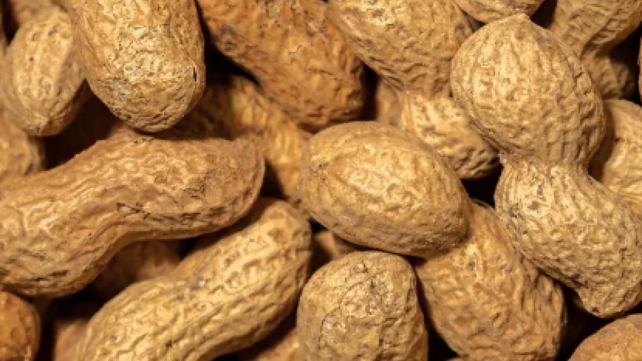 Foto - Soğuk havaların vazgeçilmezi ilgi görüyor olsa da, şifalı mı zararlı mı? Cevabını arıyor herkes...