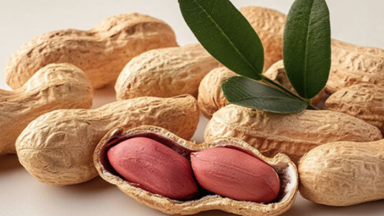 Foto - Soğuk havaların vazgeçilmezi ilgi görüyor olsa da, şifalı mı zararlı mı? Cevabını arıyor herkes...