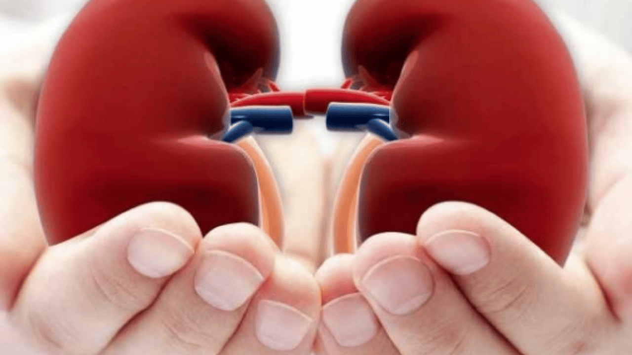 Foto - Şok eden 'taş' detayı! Duyan mutlaka bu önlemi almalı: Böbrek hastalıklarında taş ağrısı...