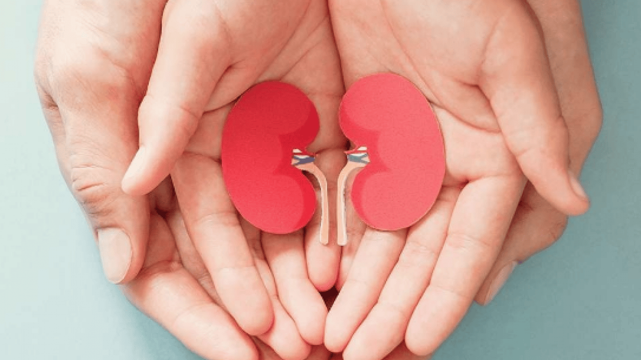 Foto - Şok eden 'taş' detayı! Duyan mutlaka bu önlemi almalı: Böbrek hastalıklarında taş ağrısı...