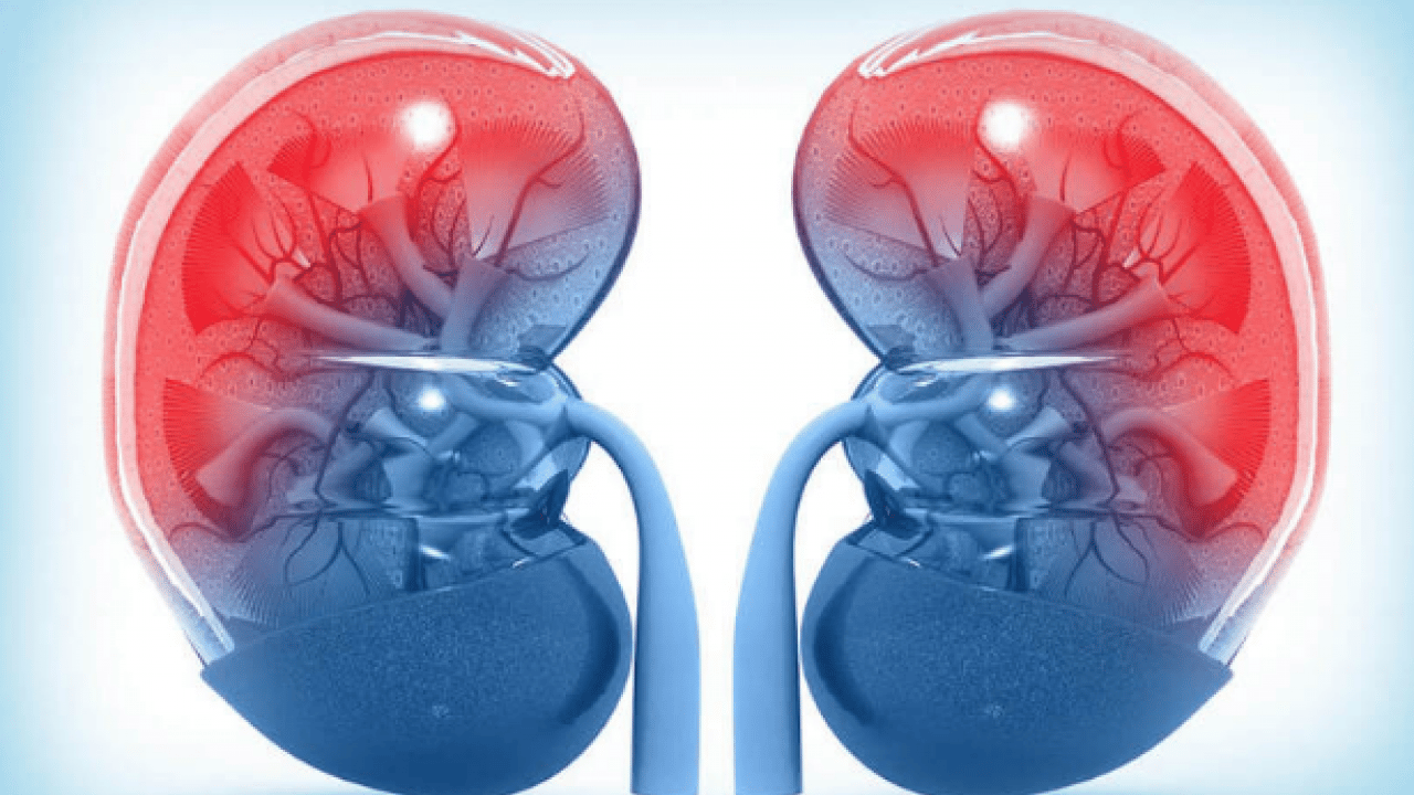 Foto - Şok eden 'taş' detayı! Duyan mutlaka bu önlemi almalı: Böbrek hastalıklarında taş ağrısı...