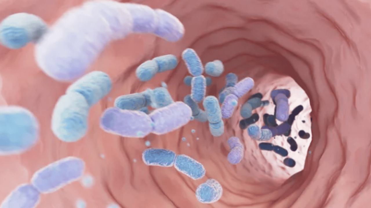 Foto - Şok eden vücut belirtisi: Vücudunuzu yeniden programlayan sır deşifre oldu! 