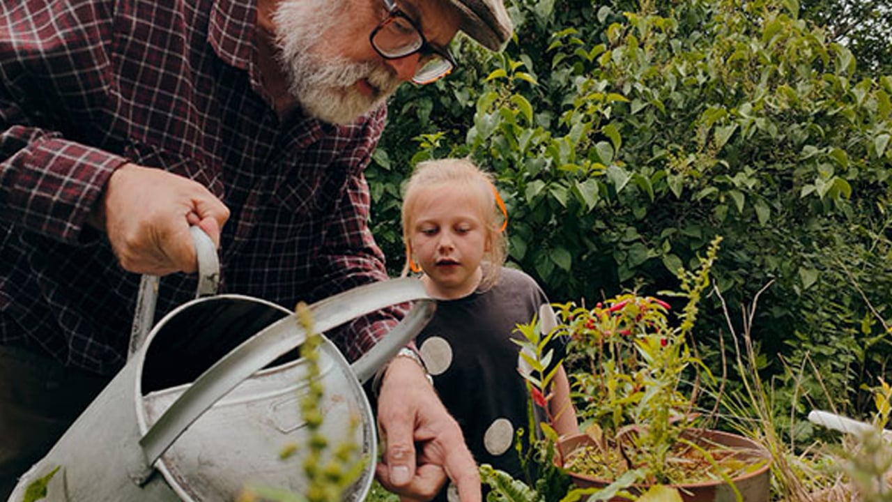 Foto - İran'dan şok edici araştırma: Torun bakmak depresyon riskini yükseltiyor! İlişkin açıklama geldi