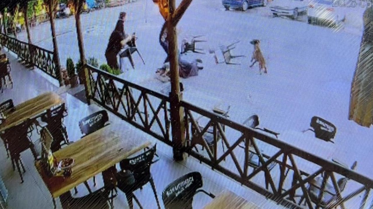 Foto - Sokak terörünün son kurbanı: Gözü dönmüş köpek kadının kolunu kopardı