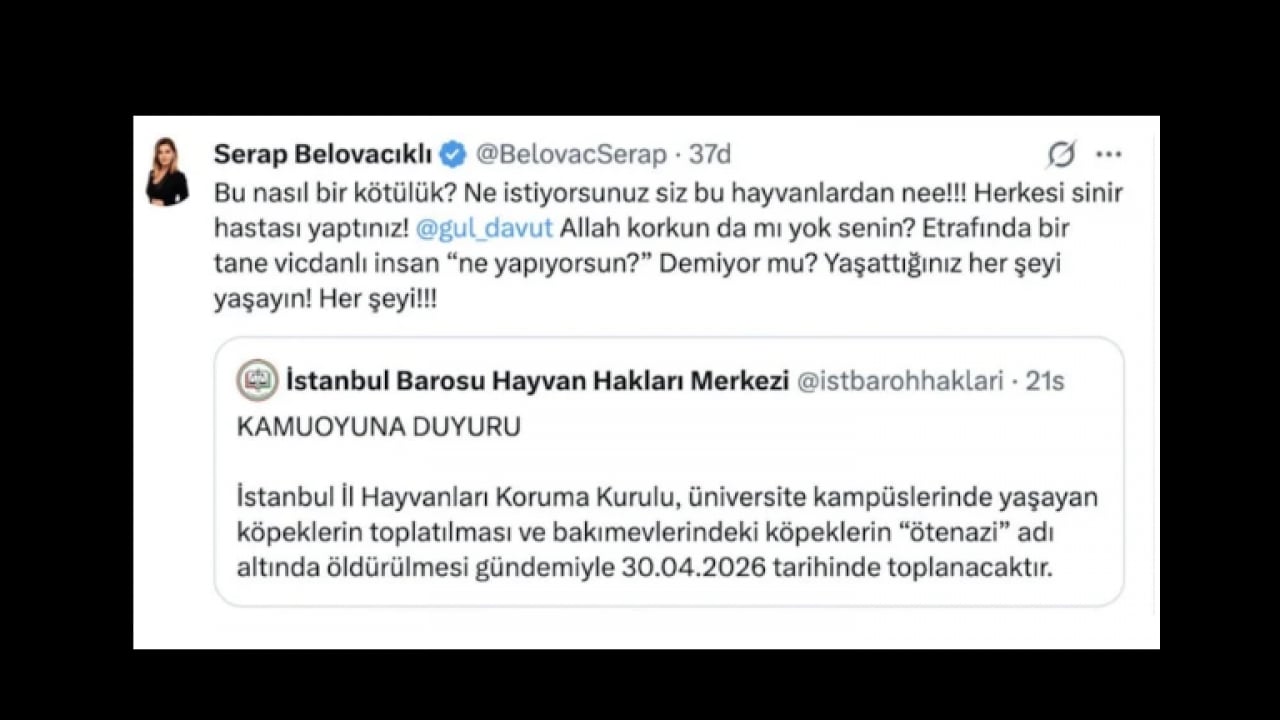 Foto - Sokak terörünün sözcülüğüne soyundu! Köpeksevici Belovacıklı’dan vahşeti görmezden gelen alçaklık! Çocuk ölümleri umrunda değil