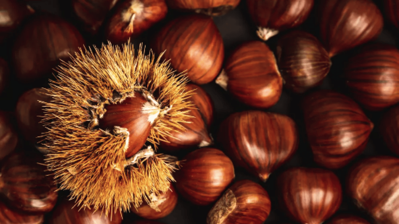 Foto - Sokakta satılan kestaneler meğer bu yüzden güzel kokuyormuş! Püf noktası çok şaşırtacak...