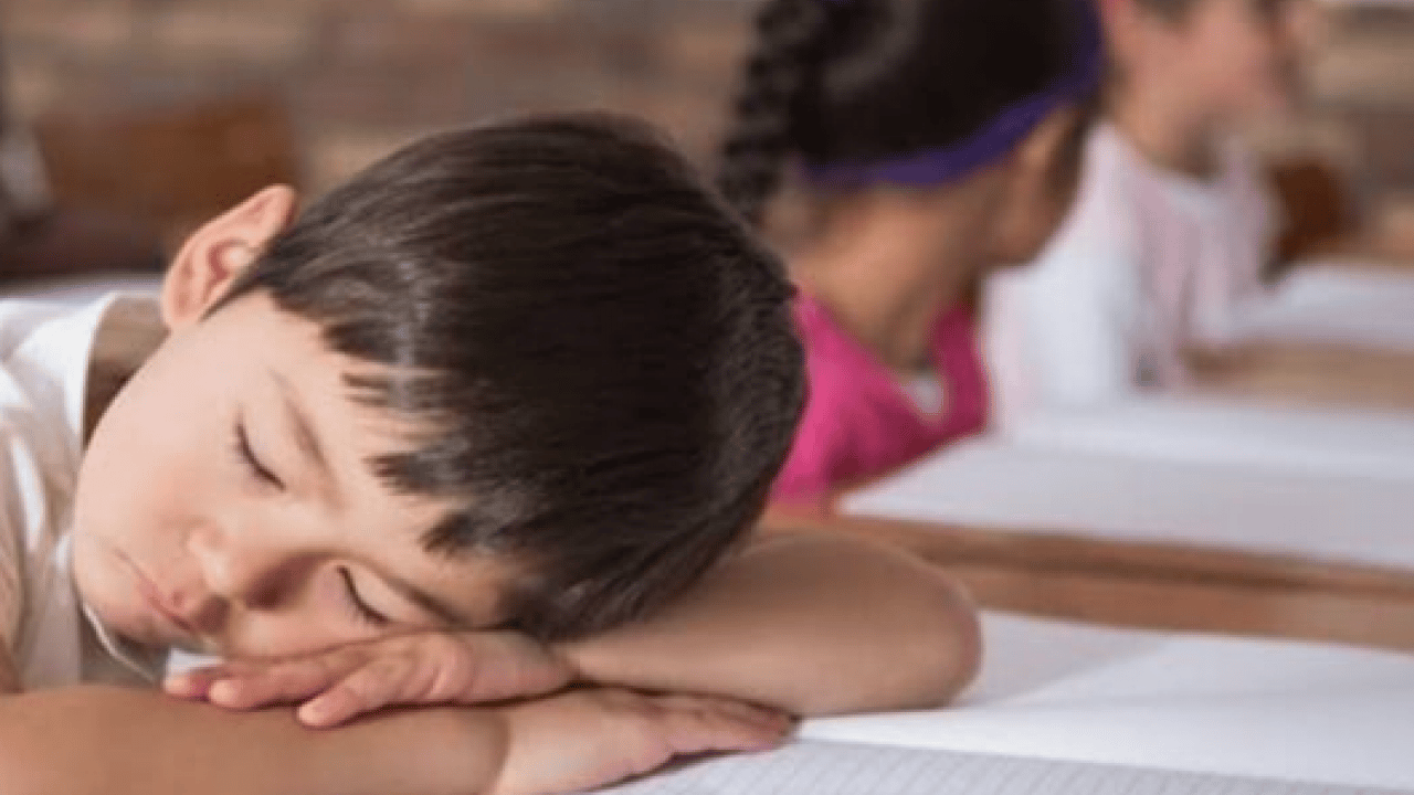 Foto - Sömestir sonrası... Zil çaldı ama beyinler hala uykuda... Tatilin gizli maliyeti