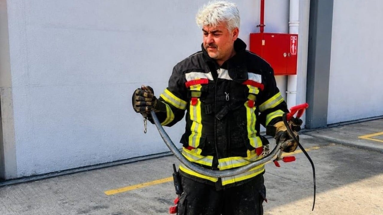 Foto - Son 1,5 ayda 184 vaka Sıcaklarla birlikte kenti yılanlar bastı