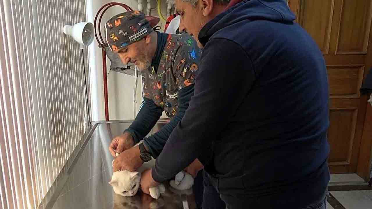 Foto - Son gün 31 Aralık: Mikroçip yaptırmayan hayvan sahiplerine ceza