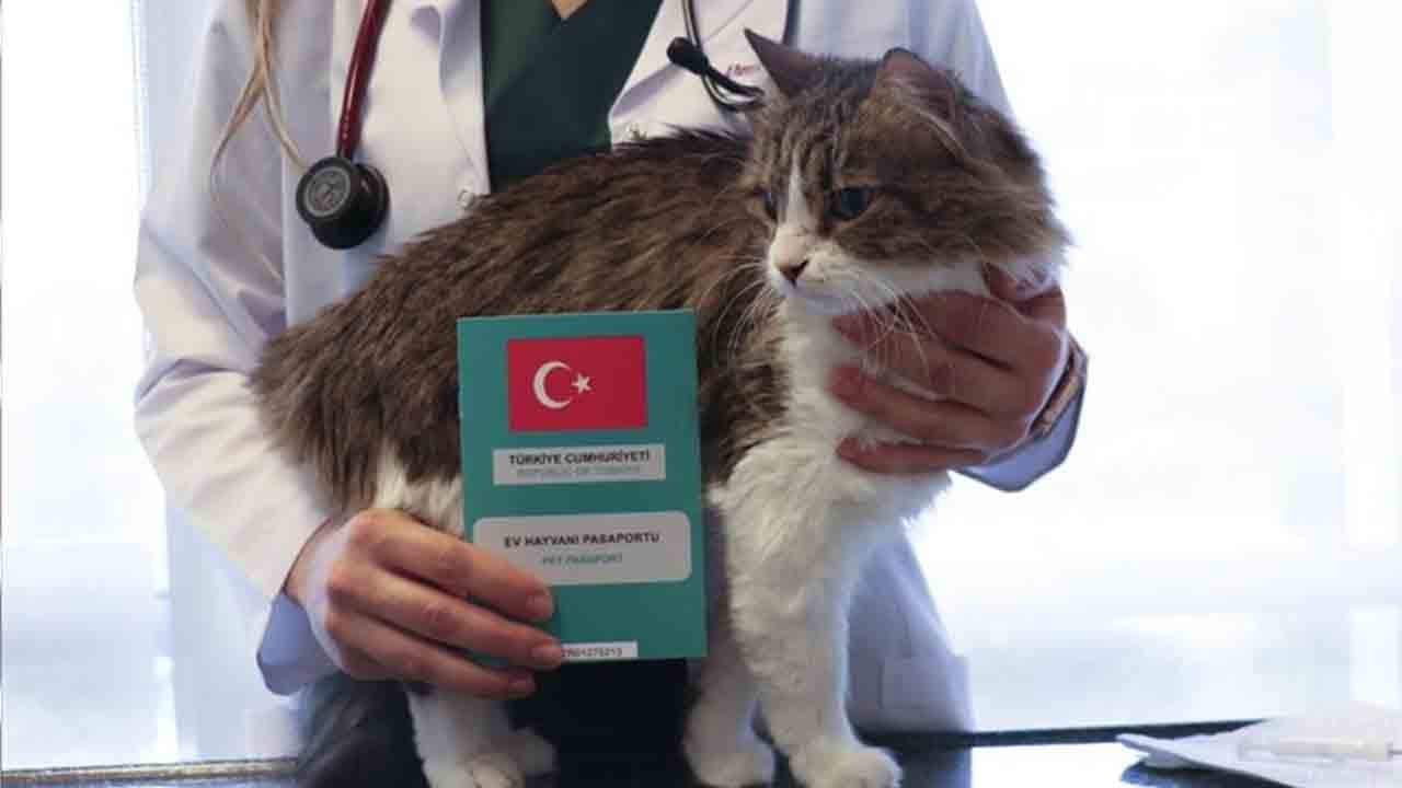 Foto - Son gün 31 Aralık: Mikroçip yaptırmayan hayvan sahiplerine ceza