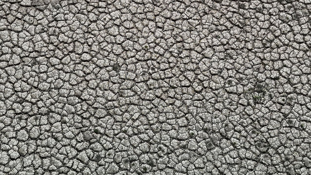 Son hali yüzleri güldürdü! Aradan yalnızca bir yıl geçti