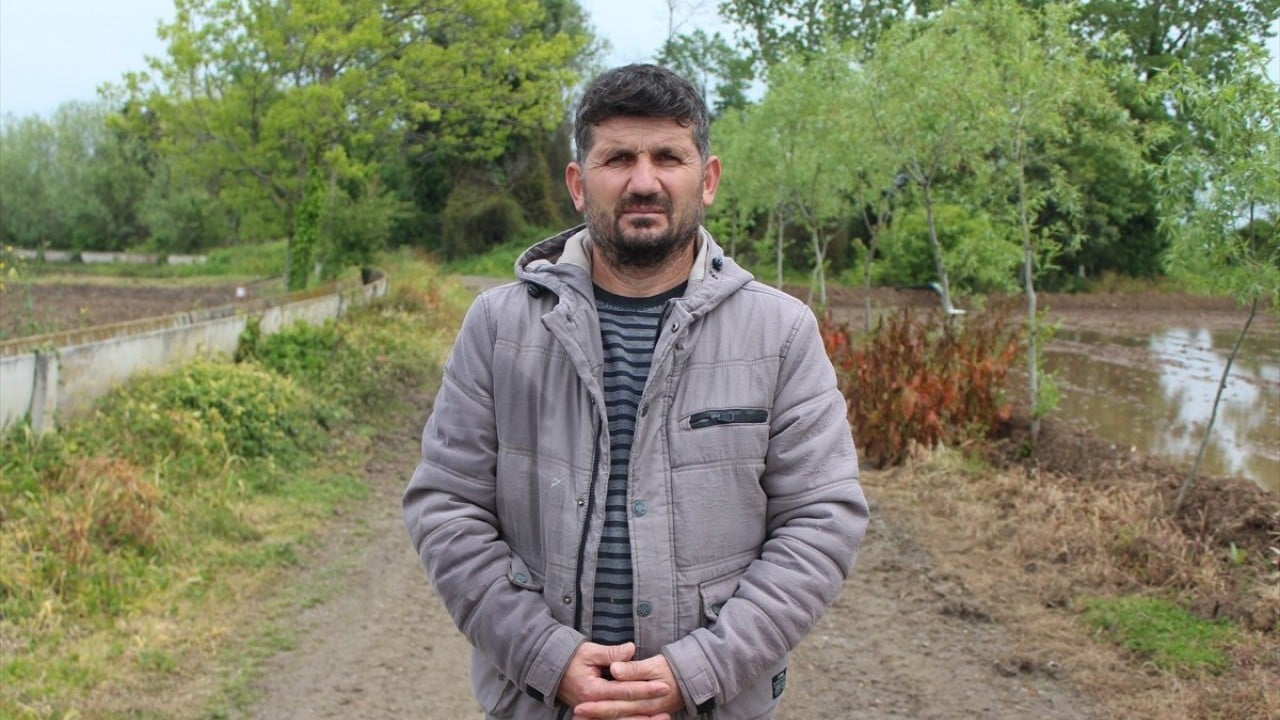 Foto - Son mahsuller toplanıyor Bafra Ovası’nda hasat sonu
