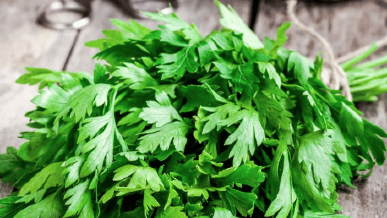 Son yıllarda büyük problem... Böbrek taşını düşüren sebze! C vitamini yüklü...