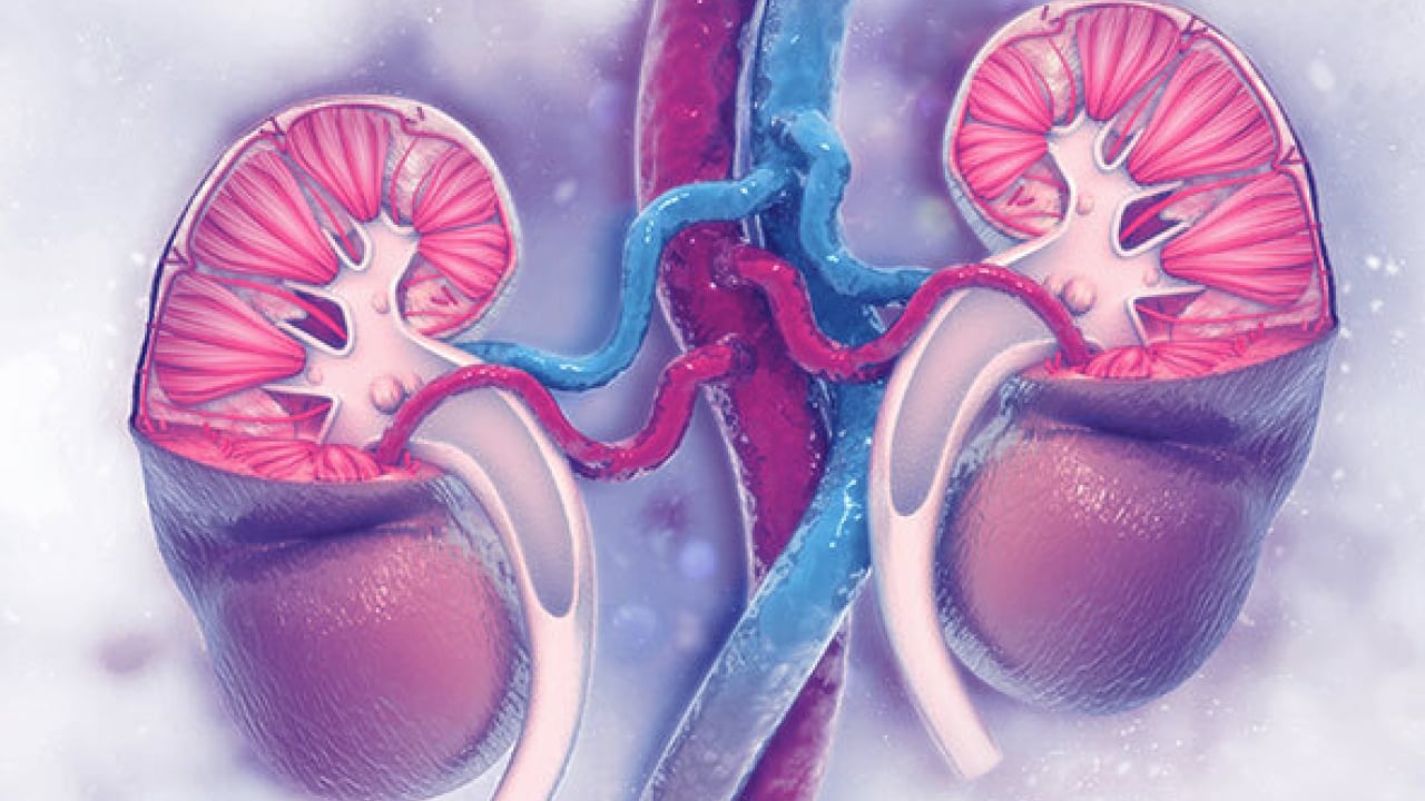 Foto - Son yıllarda büyük problem... Böbrek taşını düşüren sebze! C vitamini yüklü...