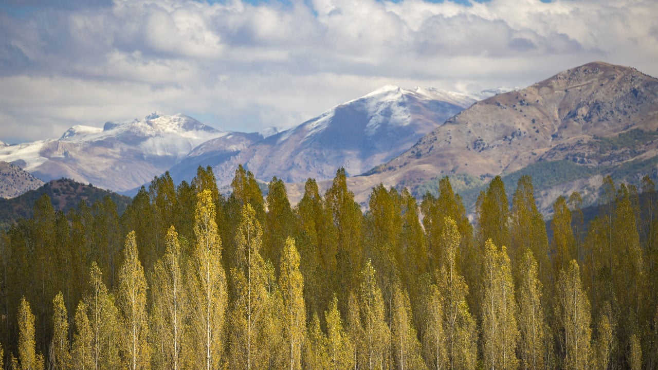 Foto - Sonbahar masalı! Munzur Vadisi’nde renklerin şöleni