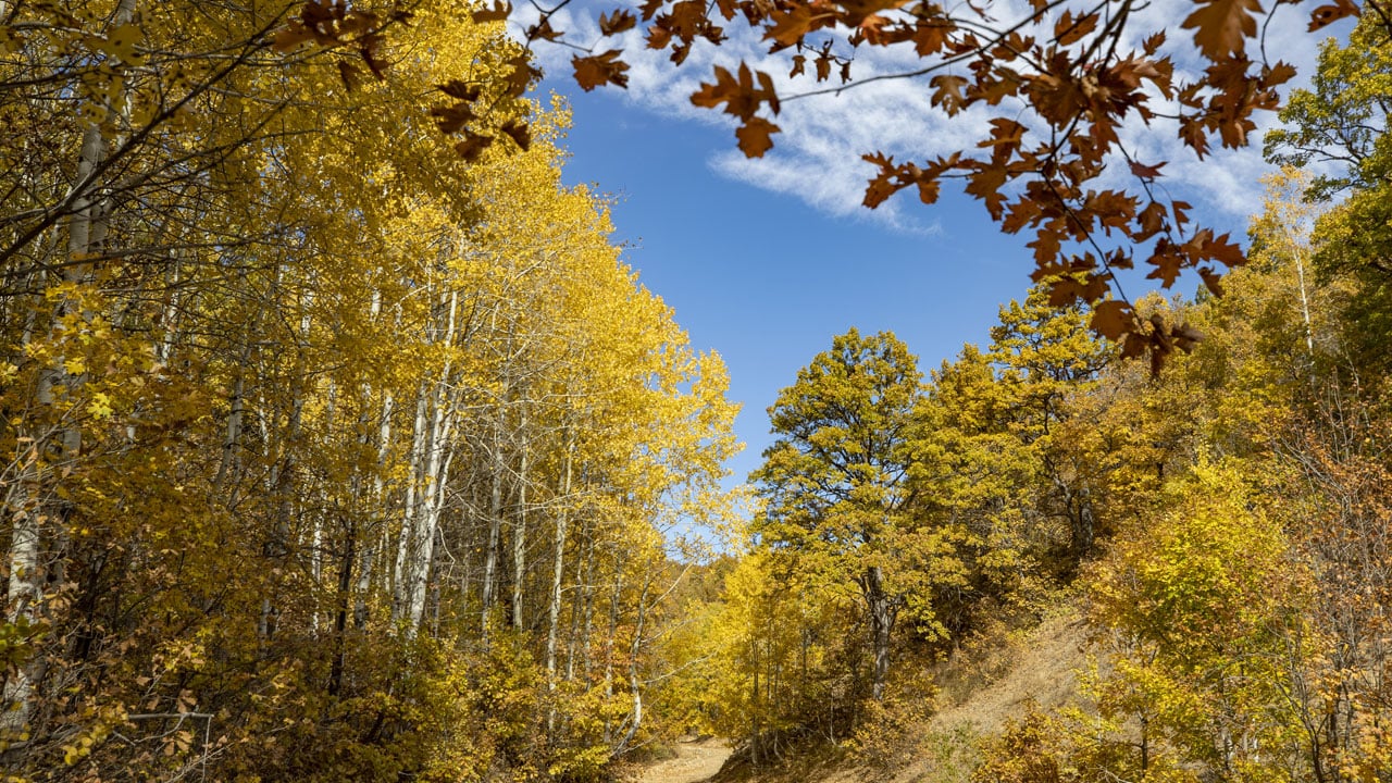 Foto - Sonbahar masalı! Munzur Vadisi’nde renklerin şöleni