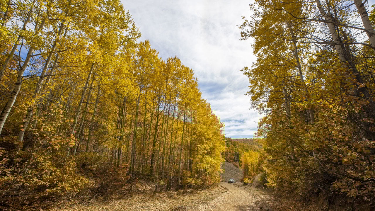 Foto - Sonbahar masalı! Munzur Vadisi’nde renklerin şöleni