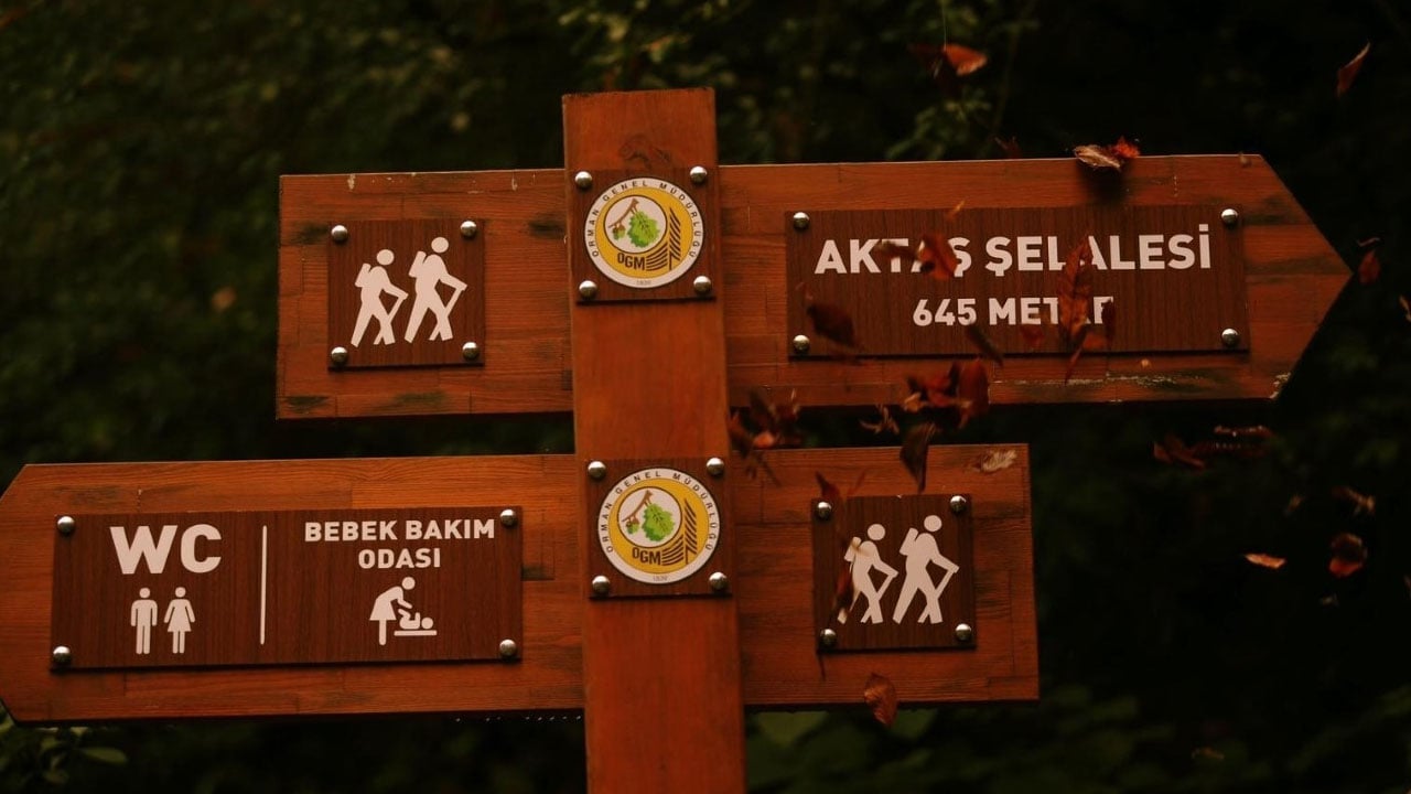 Foto - Sonbaharın en güzel hali! Aktaş şelalesi renk cümbüşüyle büyülüyor