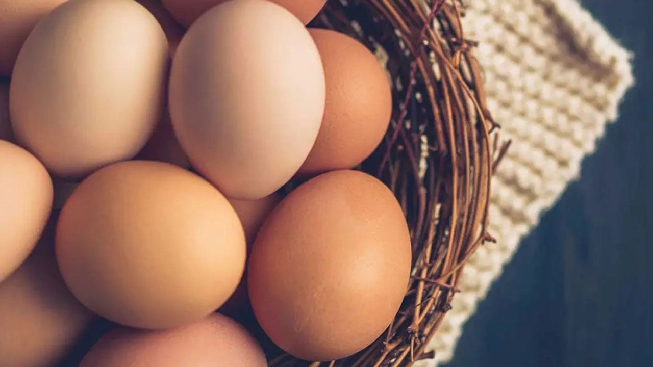 Foto - Sonuç herkesi şaşırttı! Sadece yumurta yiyerek 14 gün geçirdi