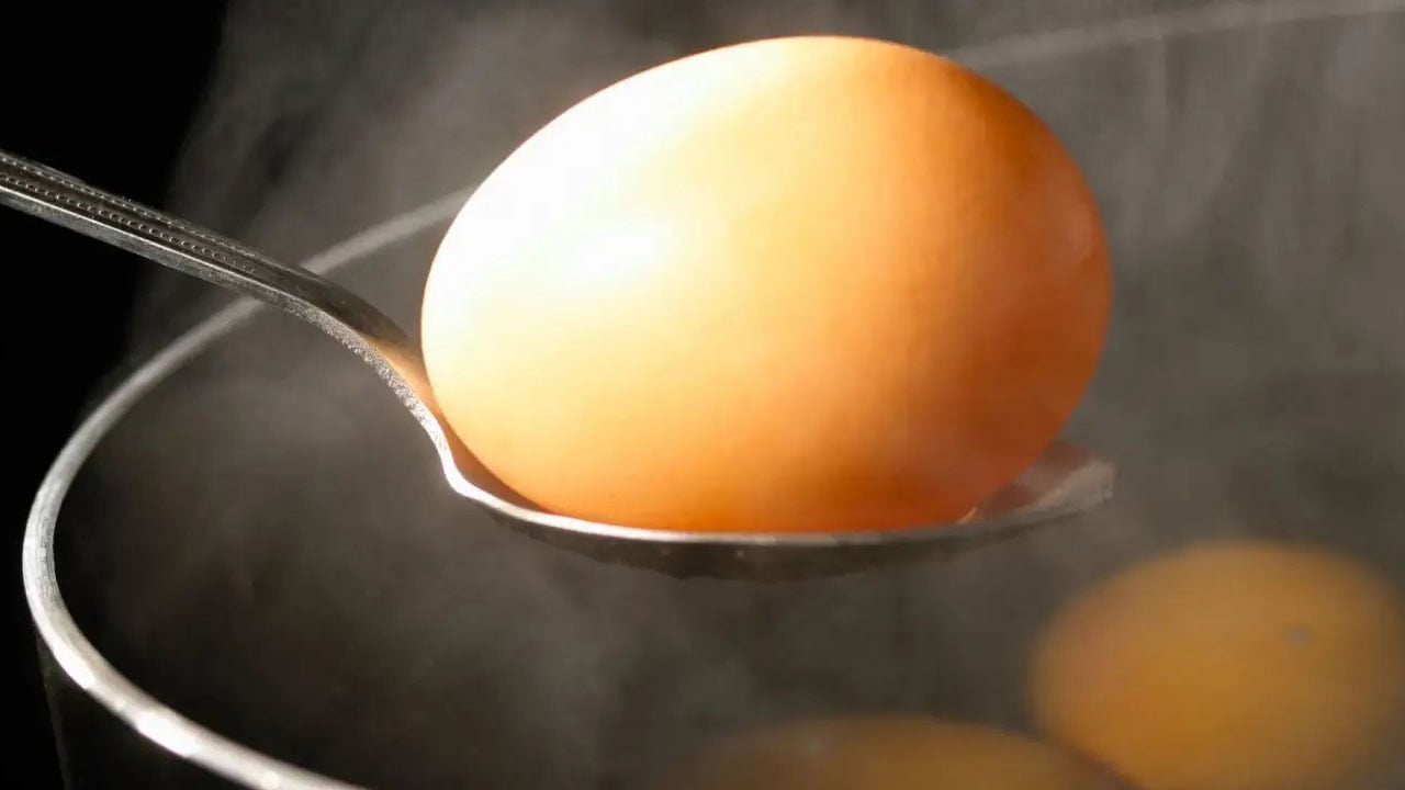 Foto - Sonuç herkesi şaşırttı! Sadece yumurta yiyerek 14 gün geçirdi