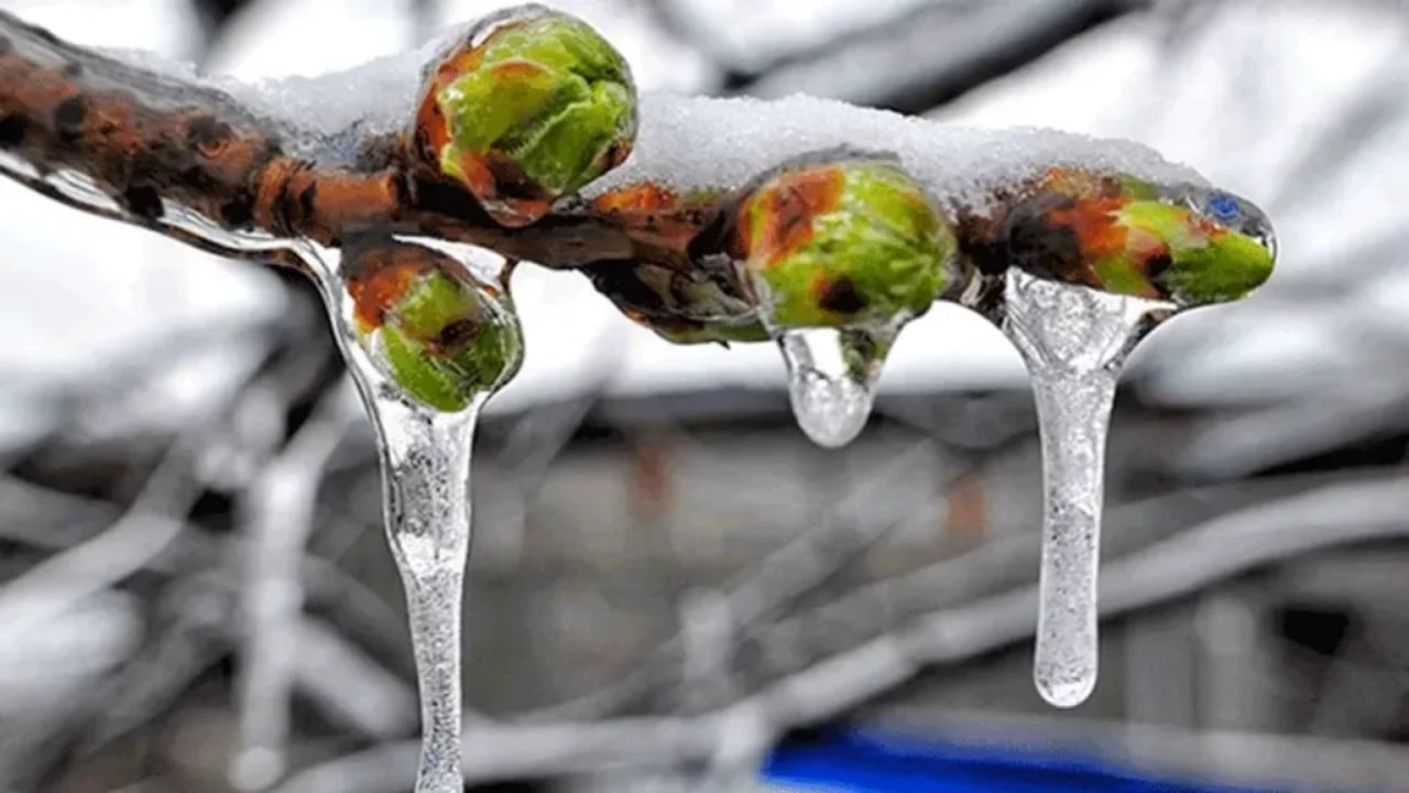 Foto - Soruyu duyan Sinan Burhan canlı yayında çileden çıktı: Donu da mı hükümet yaptı? Klima mı taksınlar?