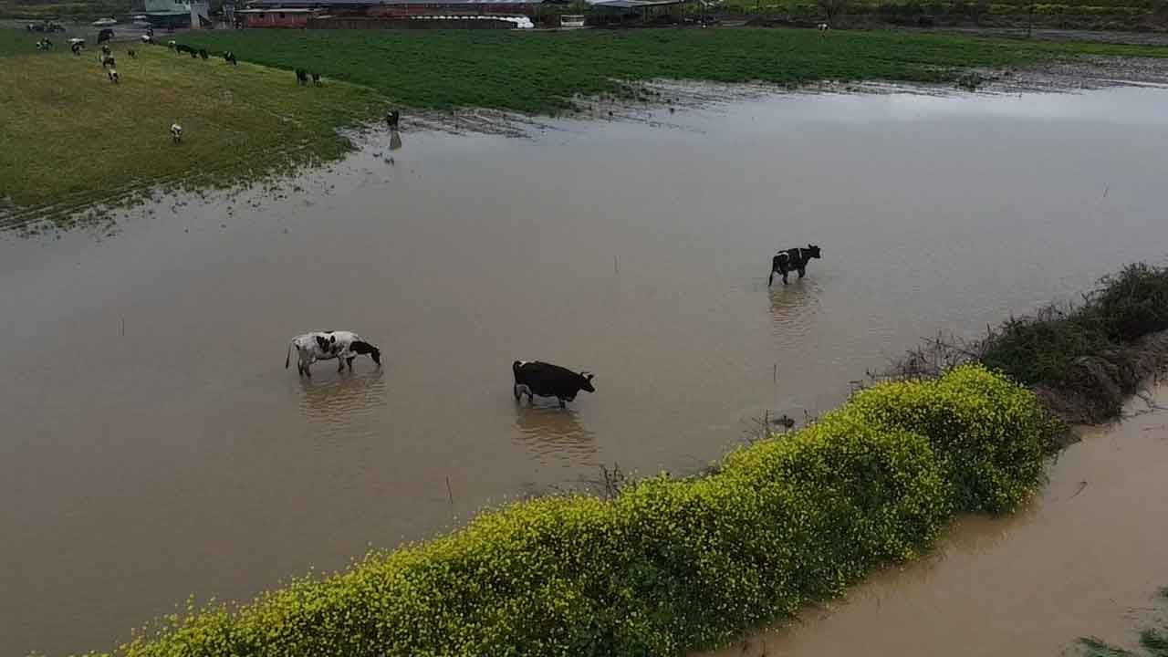 Foto - Söylemler öyle gerçekler böyle! "Atatürk kenti'nde arabalar yüzüyor
