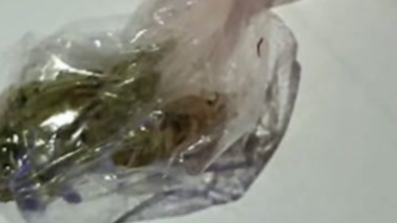Foto - Sözde ünlülerin evinden neler çıktı neler! Bunlar mı topluma örnek olacak?