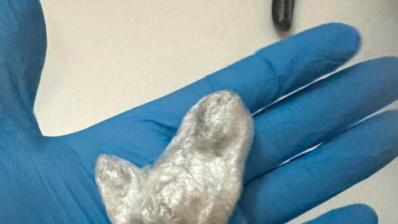 Foto - Sözde ünlülerin evinden neler çıktı neler! Bunlar mı topluma örnek olacak?