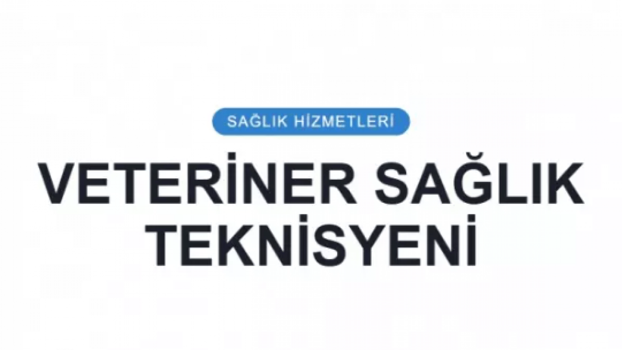 Foto - Sözleşmeli personele müjde: İşte geçiş yapabilecekleri memur kadroları!