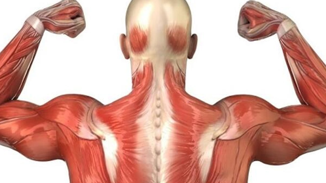 Foto - Spor, fitness ve düzenli egzersiz ne işe yarar? Vücudumuza neler yapıyor? Dost mu düşman mı uzmanı anlattı