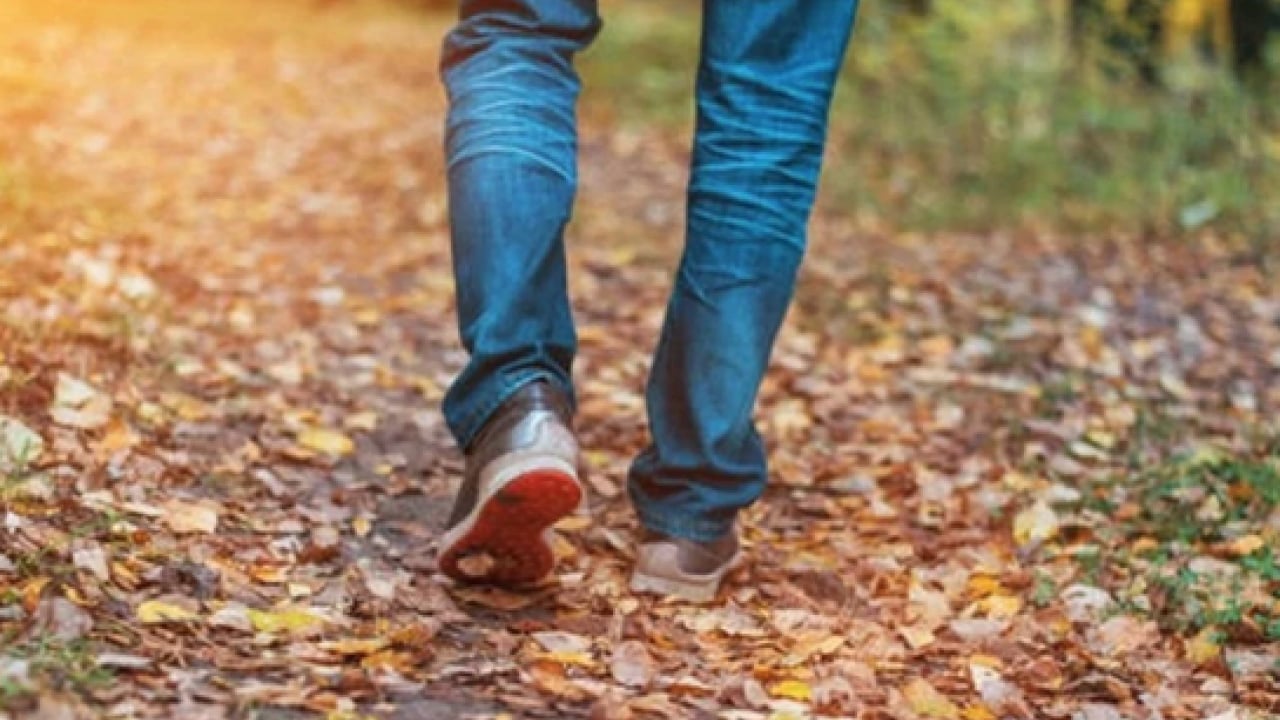 Foto - Stresten tutun da daha neler neler... Yavaş hareket etmenin 5 ilginç faydası