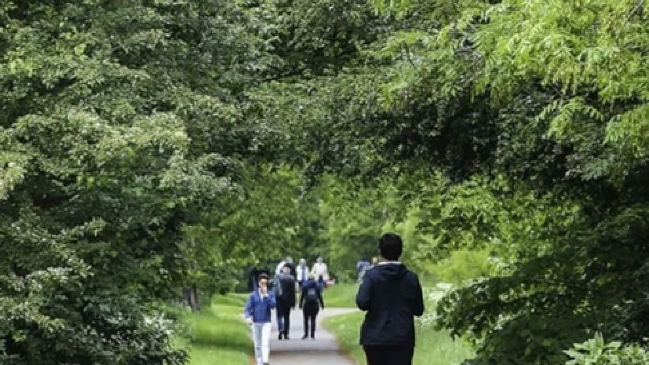 Foto - Stresten tutun da daha neler neler... Yavaş hareket etmenin 5 ilginç faydası