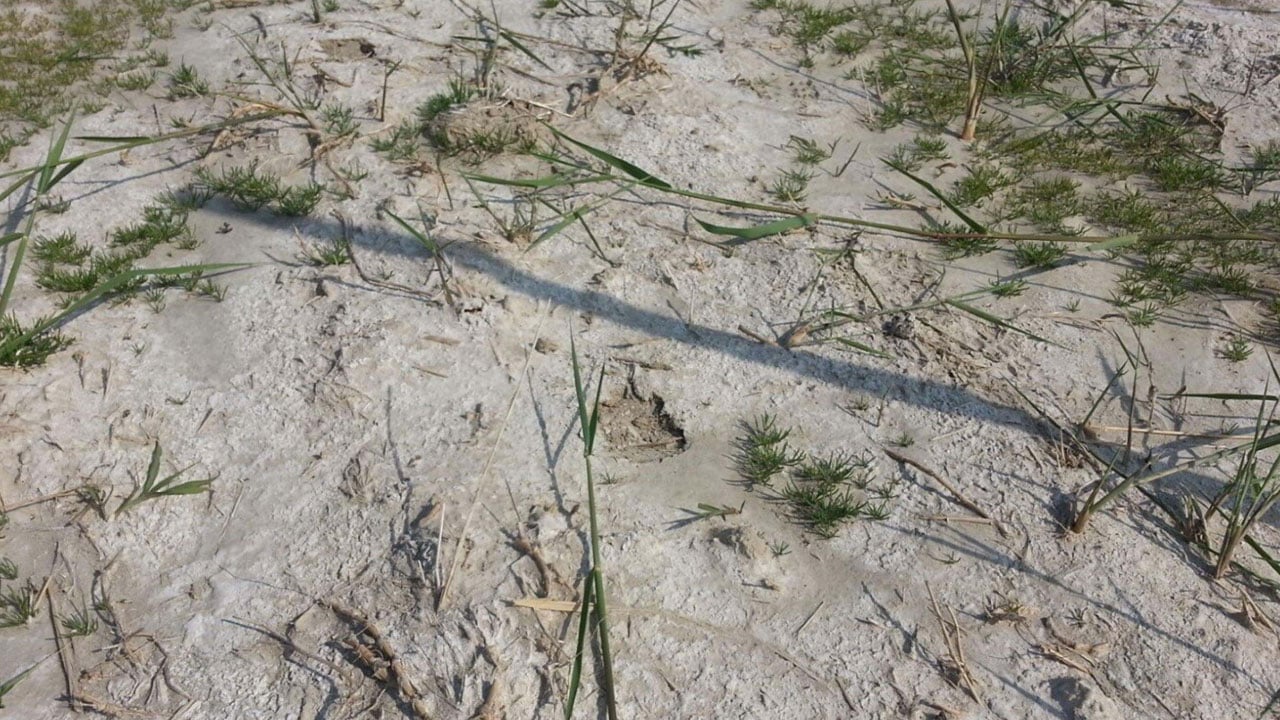 Foto - Su seviyesi 120 santimetre yükseldi! Yağışlar yer altını da doldurdu