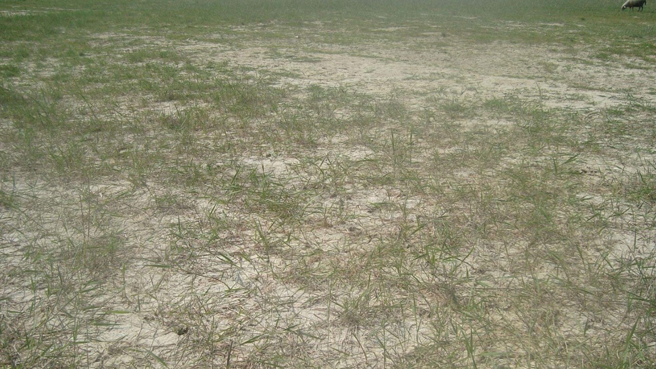 Foto - Su seviyesi 120 santimetre yükseldi! Yağışlar yer altını da doldurdu